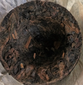 Organic Pu-erh Tou Cha