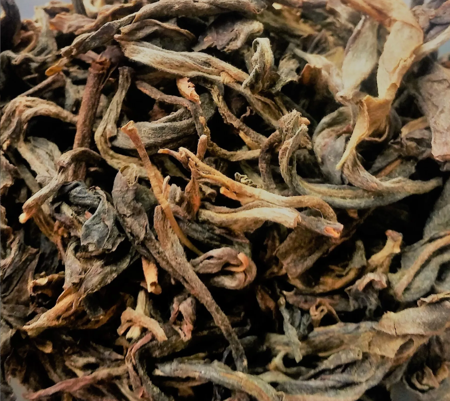 Organic Saiqing Pu-erh