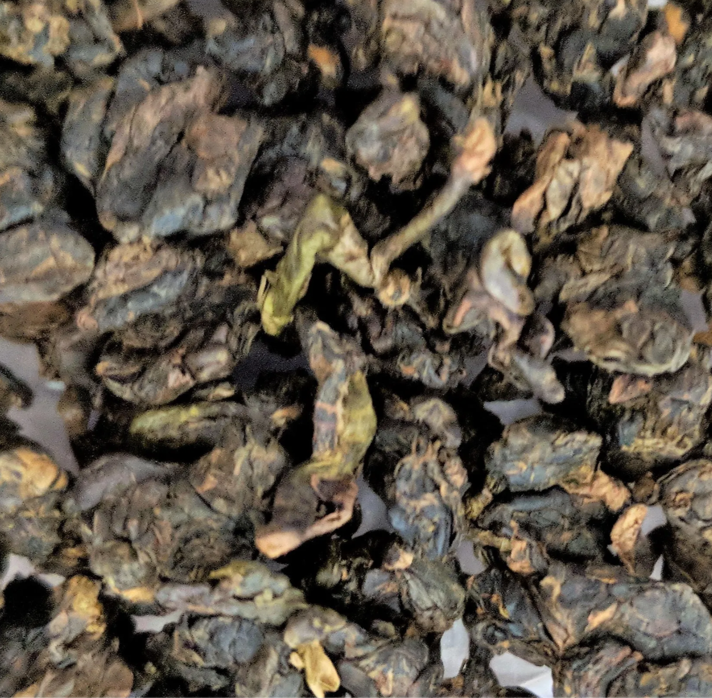 Alishan GABA Oolong