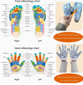 Reflexology Massage Tool