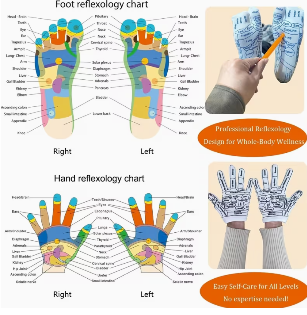 Reflexology Massage Tool